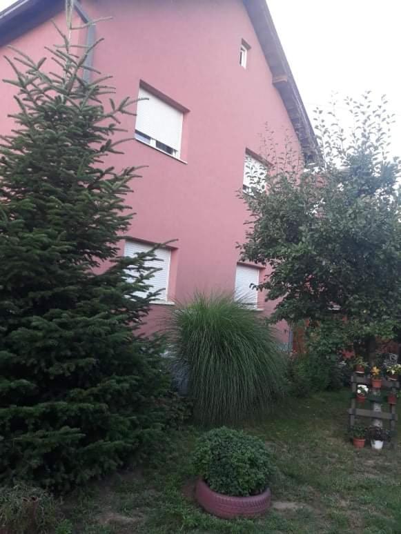 Apartman Drina Berilovac Exteriér fotografie