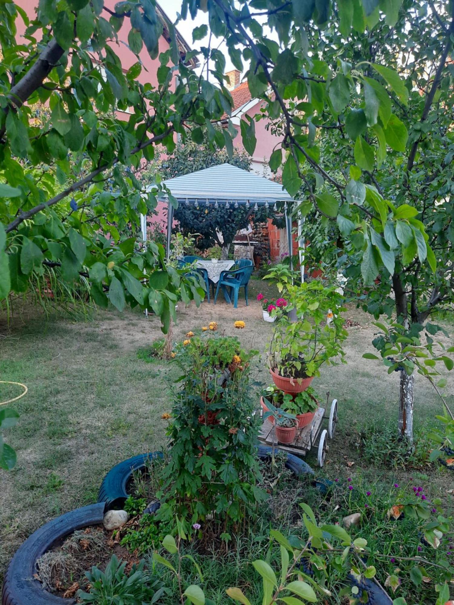 Apartman Drina Berilovac Exteriér fotografie
